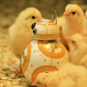 Little Droid, Big Adventure