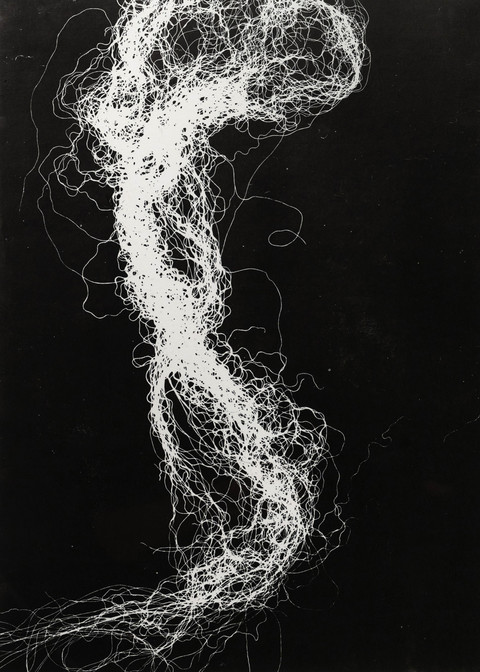 Entangled Series #3 by Madeline Veira