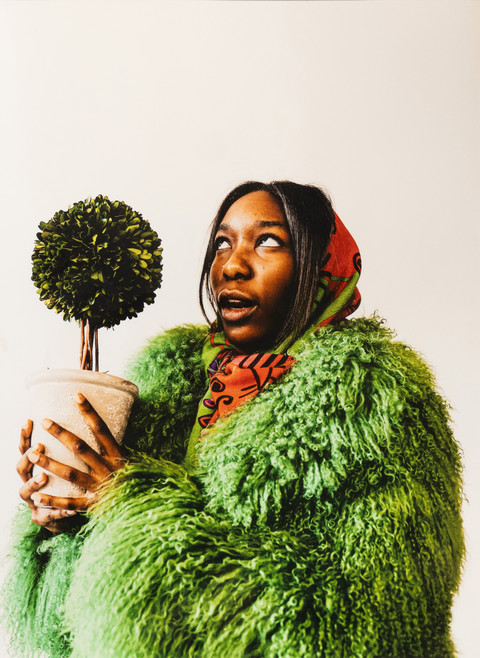 spring by Izaiah Davis