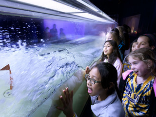 A group of children look on a waves crash through a tank in a demonstration of Tsunamis.