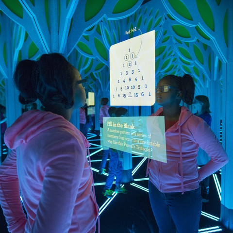 Numbers in Nature - Griffin Museum of Science and Industry