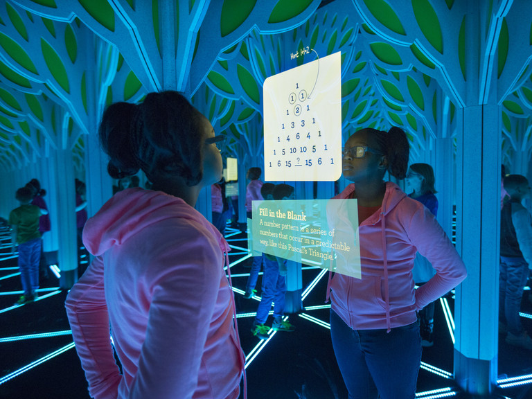 The Mirror Maze - Griffin Museum of Science and Industry
