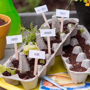 Egg Carton Nursery