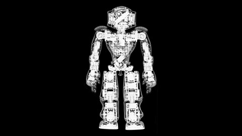 X-ray view of a DARWIN-OP humanoid robot