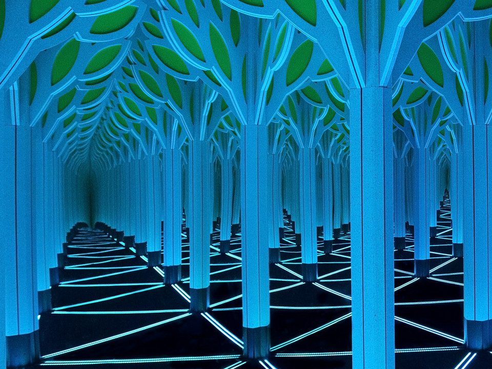 The Mirror Maze - Griffin Museum of Science and Industry